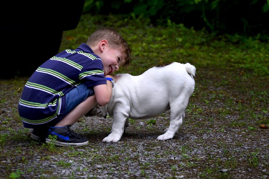 O significado dos animais na experiência de pessoas autistas — Portal da Tismoo